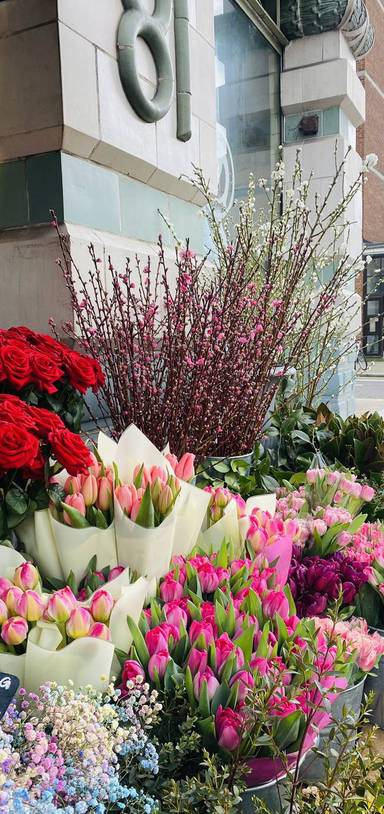 Preview of Moments of Joy in West London