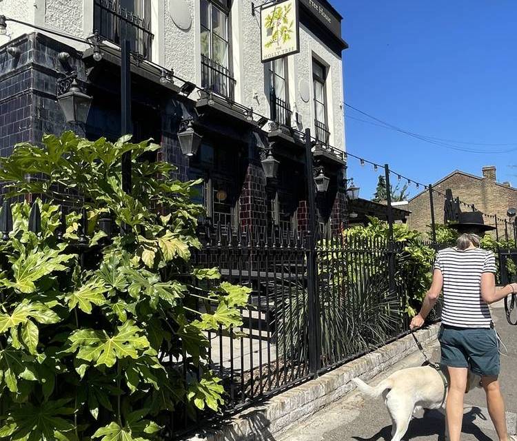 Preview of Frolicking in Forest Gate step-free