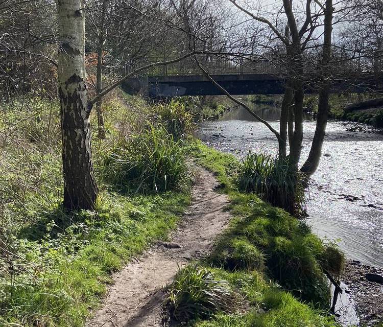 Preview of Cannon Hill Adventure Challenge