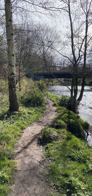 Preview of Cannon Hill Adventure Challenge