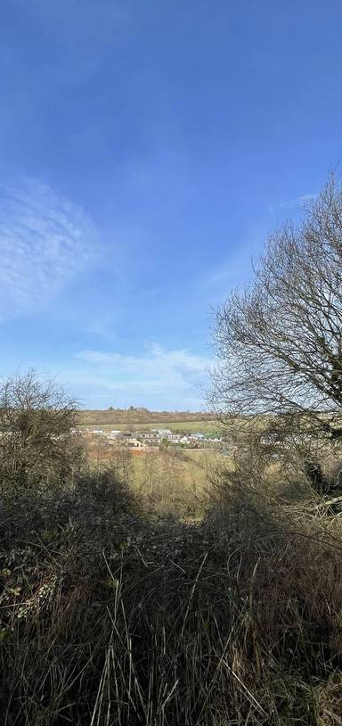 Preview of Greenway and River Somer Stretcher