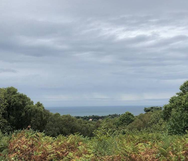 Preview of A peak and a bump in West Runton