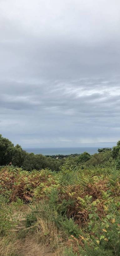 Preview of A peak and a bump in West Runton 