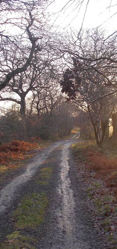 Preview of Lon Goed short stroll