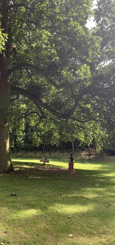 Preview of The Gibberd Garden