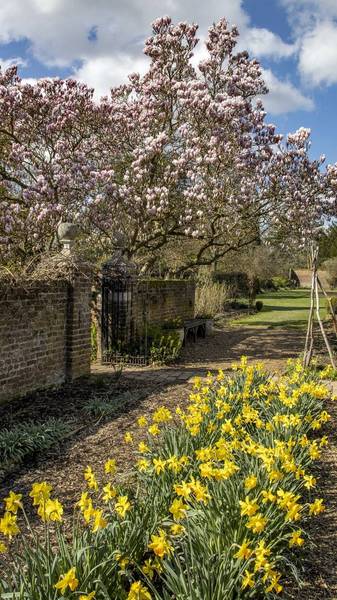 Preview of Osterley Park Blooming Trail