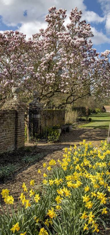 Preview of Osterley Park Blooming Trail