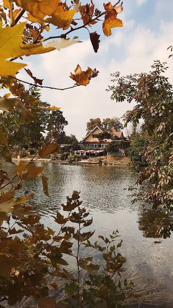 Preview of Around the pond in Bois de Boulogne