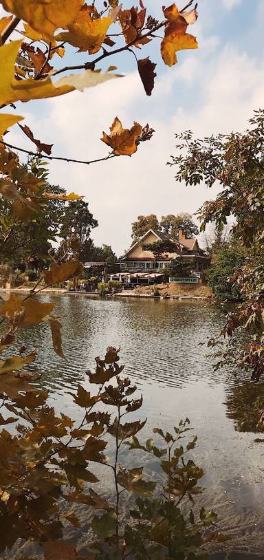 Preview of Around the pond in Bois de Boulogne
