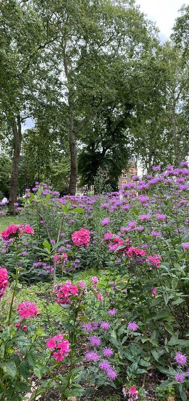 Preview of Get Creative by Walking & Talking