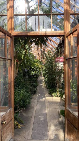 Preview of Cambridge Botanic Garden Stroll