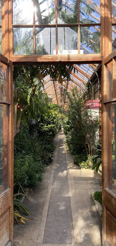 Preview of Cambridge Botanic Garden Stroll