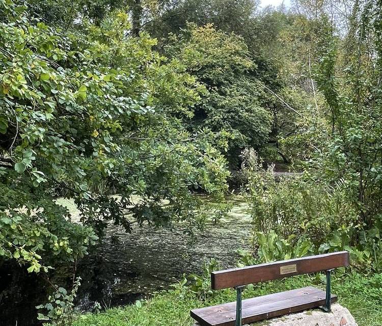 Preview of Magpie Bottom Nature Reserve