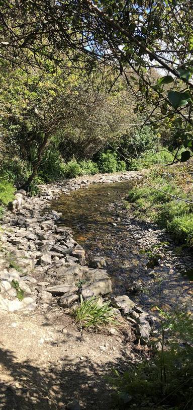 Preview of Jericho Valley Jaunt