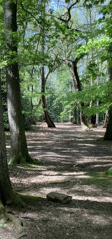 Preview of Brentwood Nature Trail