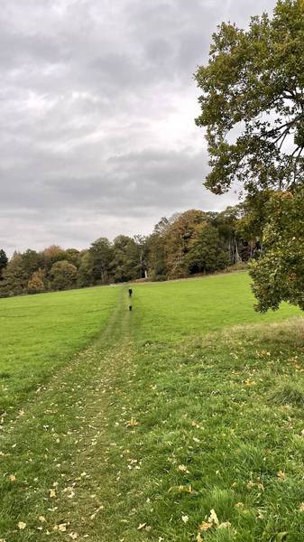 Preview of Midhurst and River Rother Wander