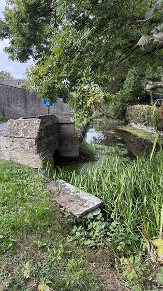 Preview of Cricklade to Ashton Keynes Thames