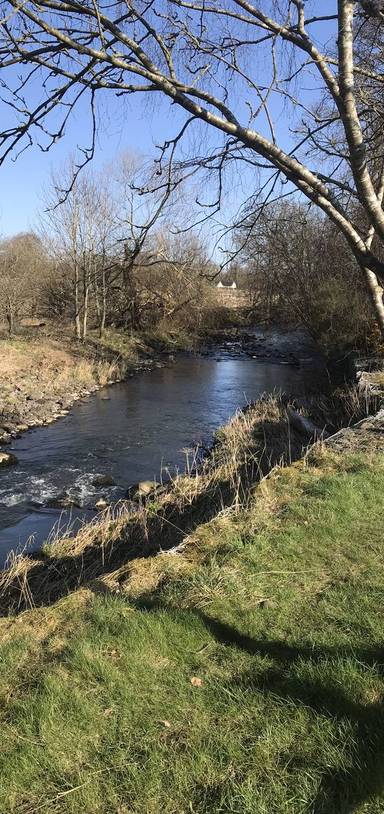 Preview of Canal and Avon trail