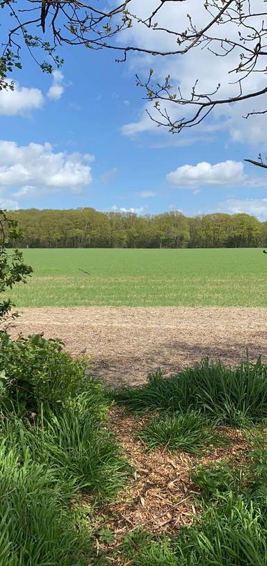 Preview of Colchester Orbital East A