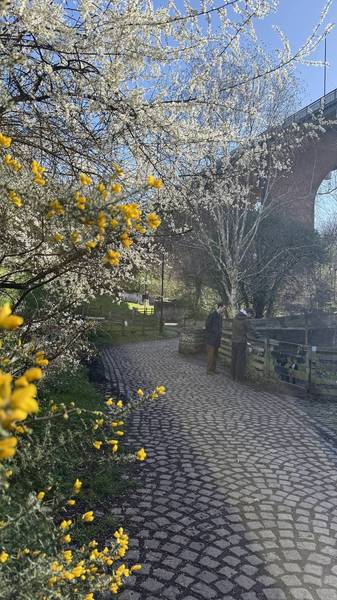 Preview of Ouseburn Blooming Trail