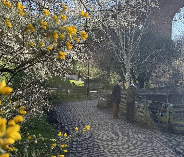 Preview of Ouseburn Blooming Trail