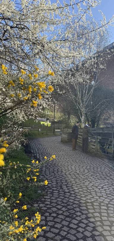 Preview of Ouseburn Blooming Trail
