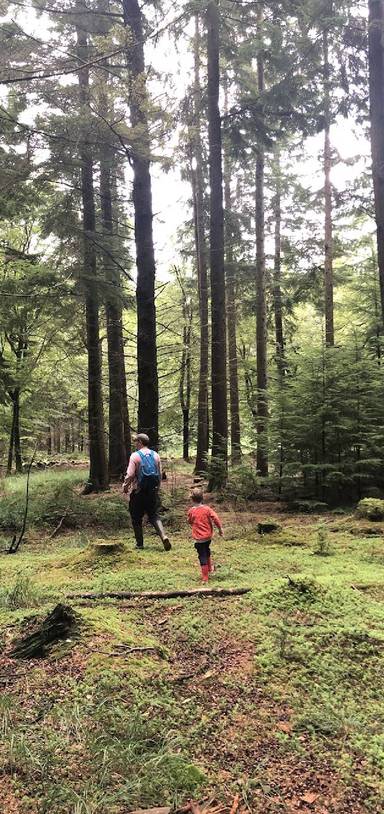 Preview of Nature Connection in New Forest 🌲