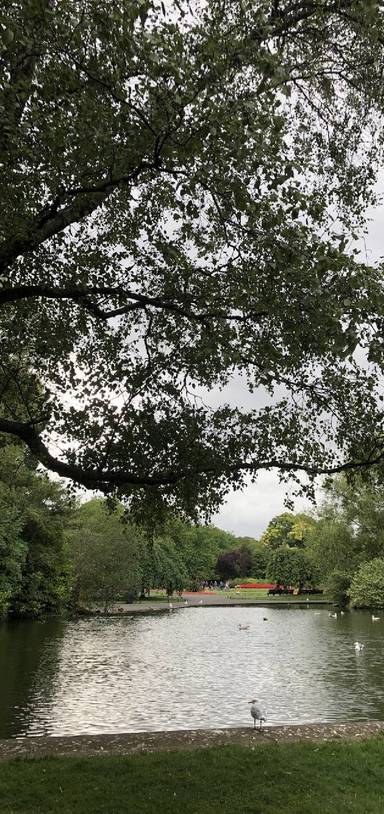 Preview of Peace at St Stephen’s Green Park