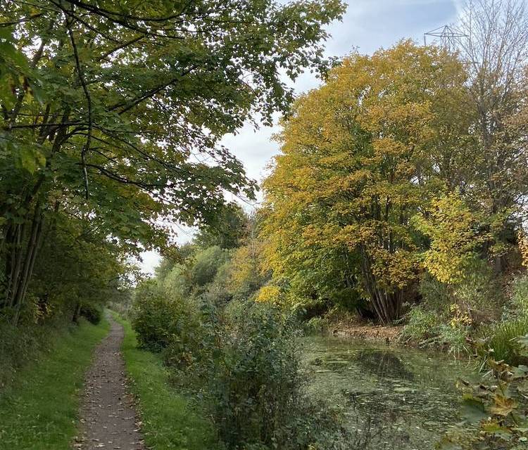 Preview of The Quiet Way to Iver Village