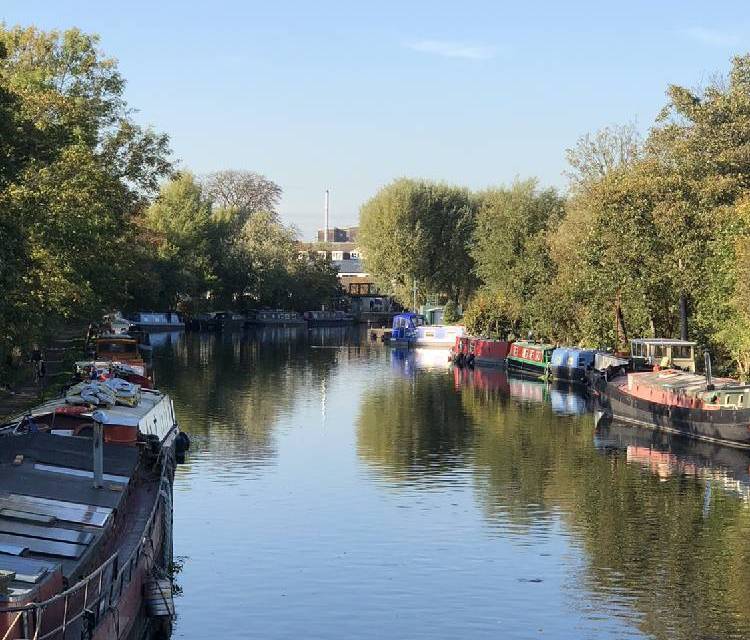 Preview of Capital Ring Section 13