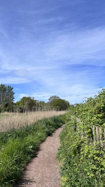 Preview of Rail to Trail Oulton Marshes