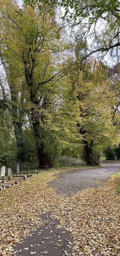 Preview of Brockley Cemetery Creature Hunt