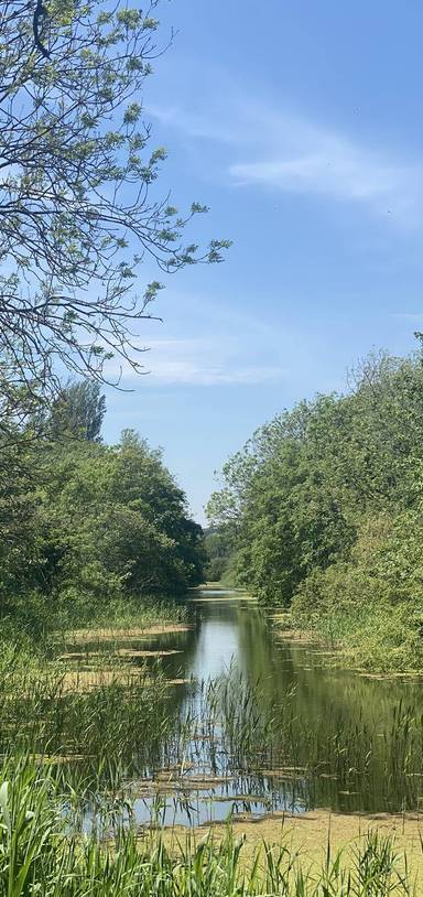 Preview of Royal Military Canalside Walk