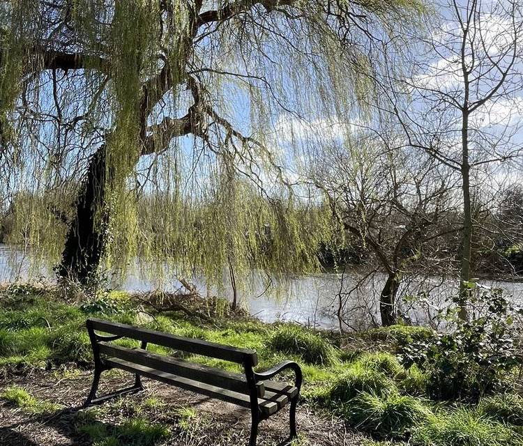 Preview of Riverside Recycling Trail -Short