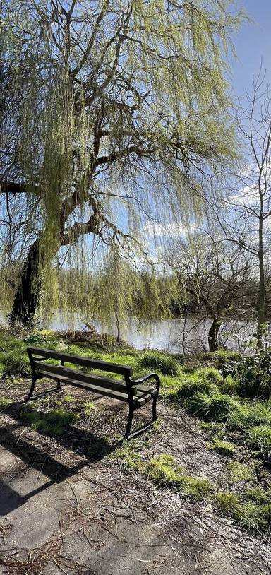 Preview of Riverside Recycling Trail -Short