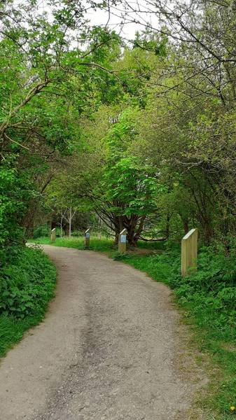 Preview of Rosliston Nature Trail