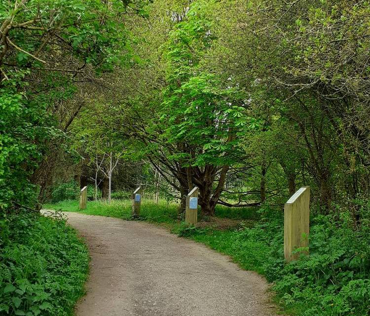 Preview of Rosliston Nature Trail