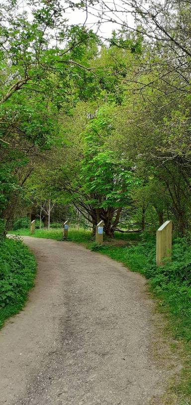 Preview of Rosliston Nature Trail