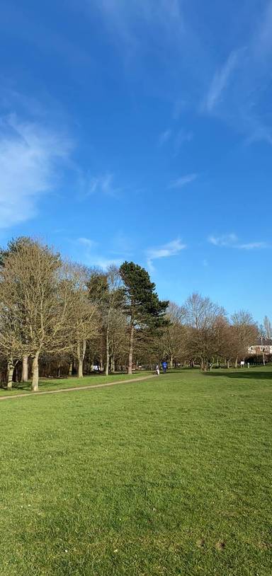 Preview of Town Park to Museum & Gardens 