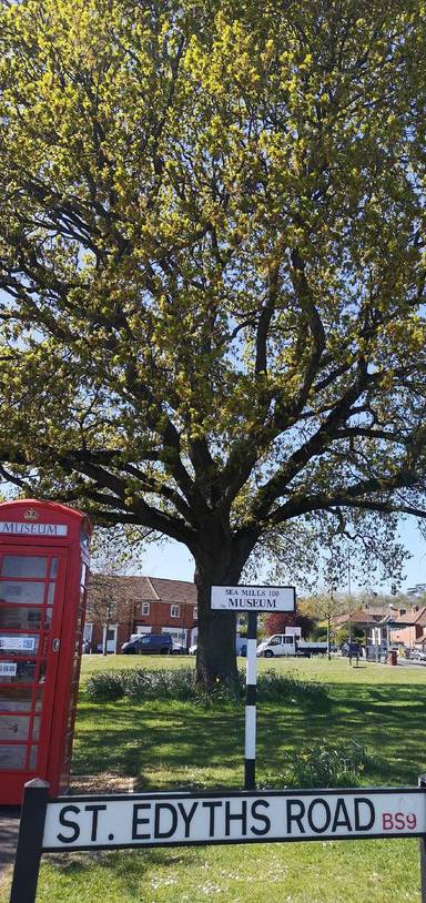 Preview of Sea Mills COP26 nature trail