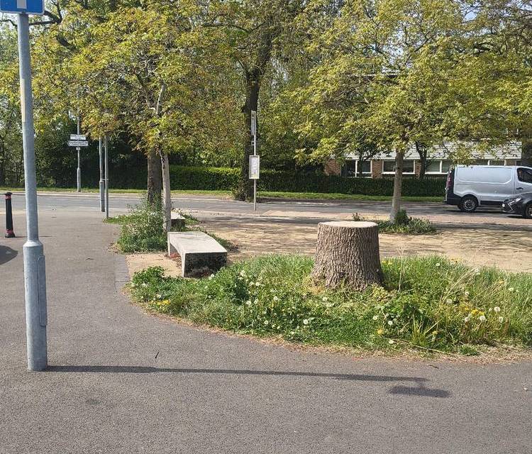 Preview of Walk across Whalley Range