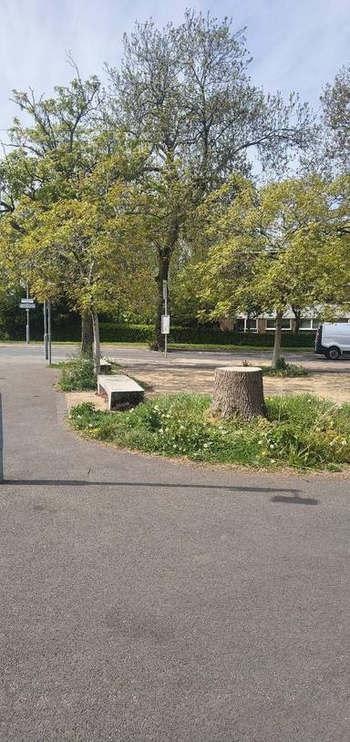 Preview of Walk across Whalley Range