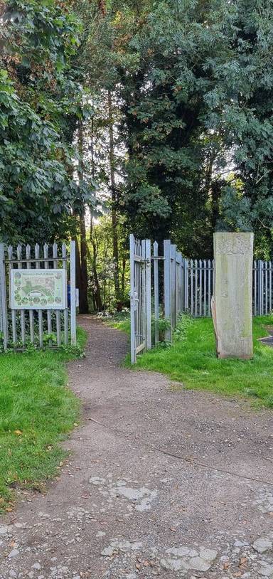 Preview of Bluebell woods