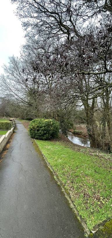 Preview of Staddlestones Step-free Loop