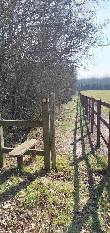 Preview of East Hanningfield Walk