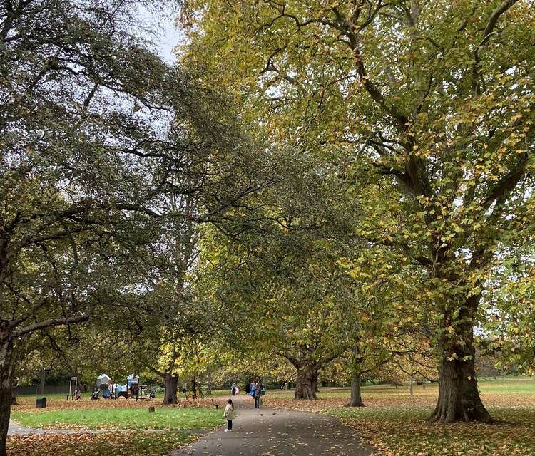 Preview of Tour Acton Town & Park