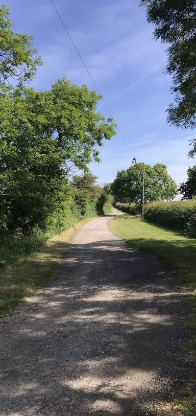Preview of Anslow Treefest Walk