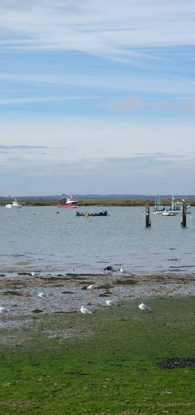 Preview of Follies Walk