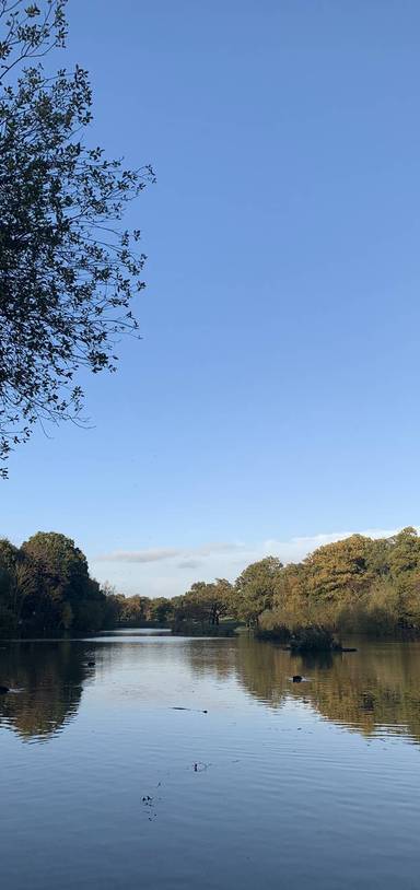 Preview of Playing fields to Jack’s Lake