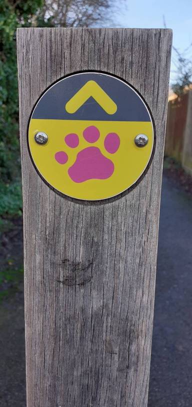 Preview of The Kidlington Big Bear Trail